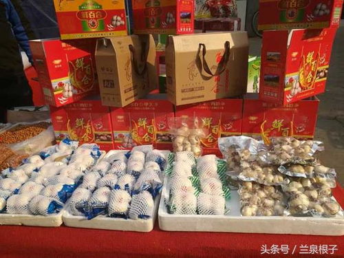 蘭州市供銷社多措并舉保障農副土特產品市場供應與安全經營